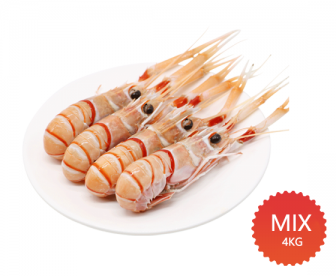 【爆款新鲜到货】新西兰南极小龙虾MIX装4KG